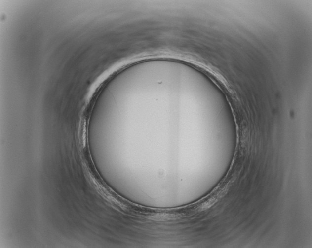 X0000085001510200703261115