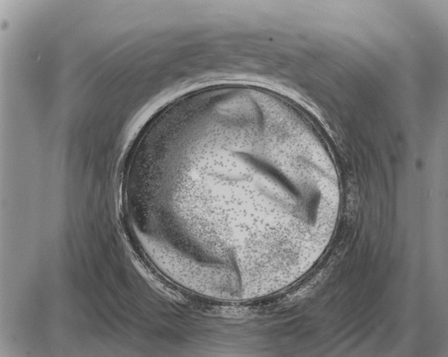 X0000085001511200703261115