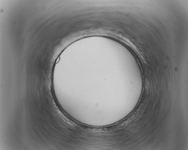 X0000085001512200703261115