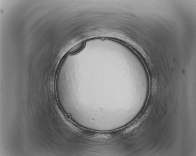 X0000085001513200703261115