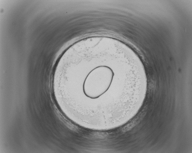 X0000085001514200703261115