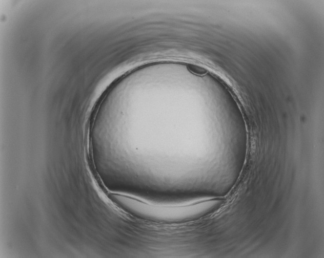 X0000085001515200703261115