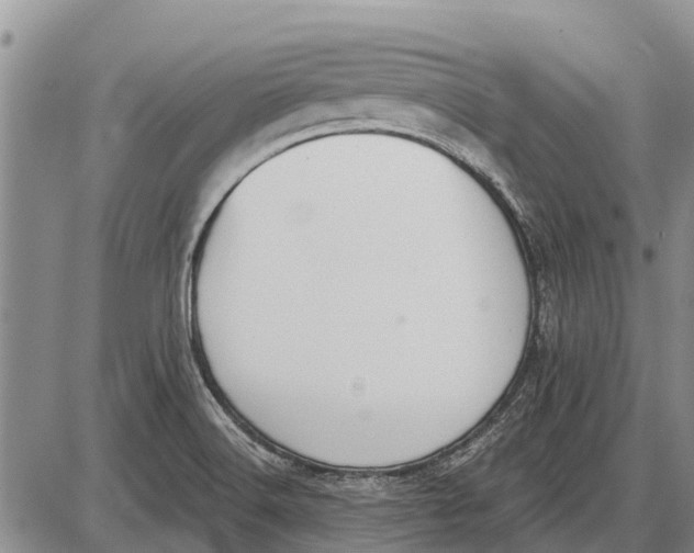 X0000085001516200703261115