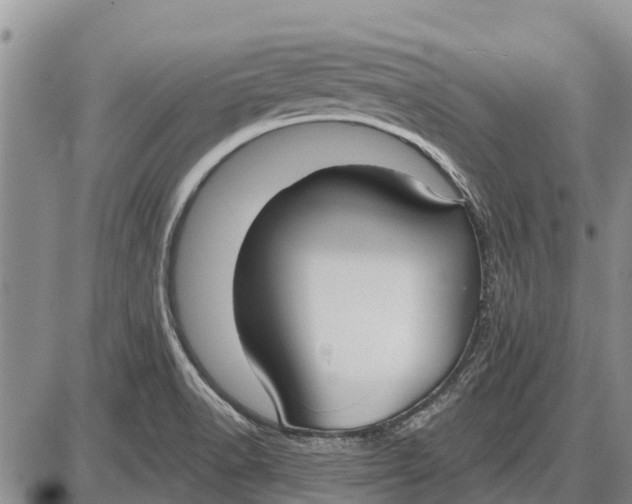 X0000085001518200703261115