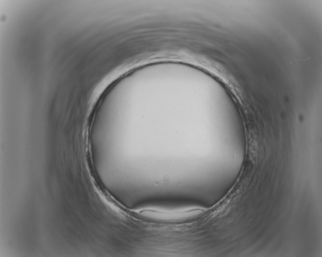 X0000085001519200703261115