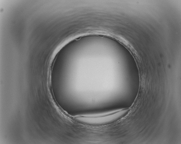 X0000085001520200703261115