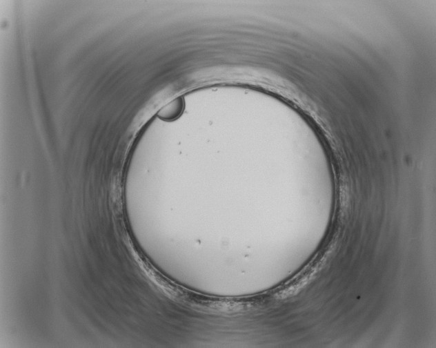 X0000085001521200703261115