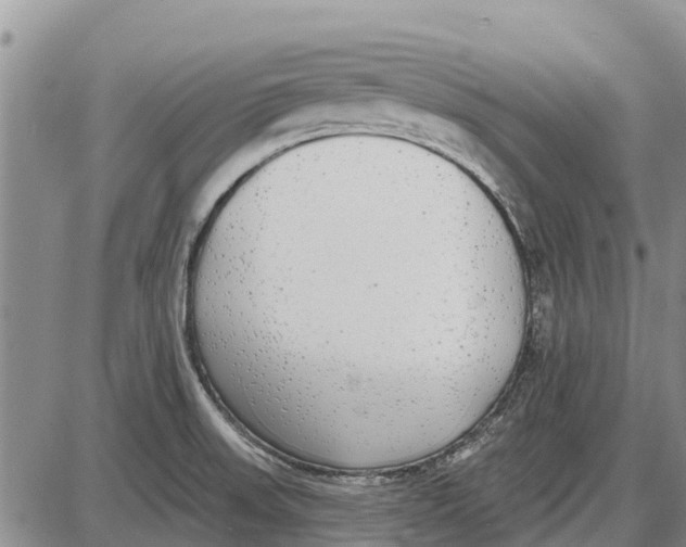 X0000085001523200703261115