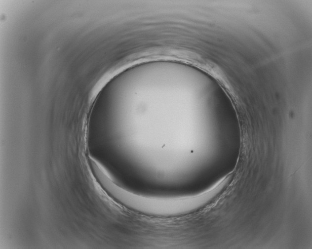 X0000085001524200703261115