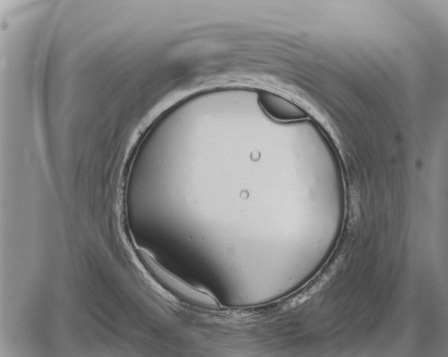 X0000085001525200703261115