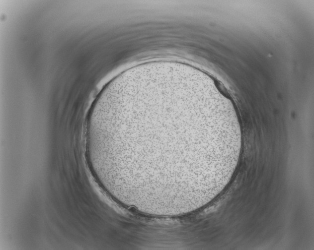 X0000085001526200703261115