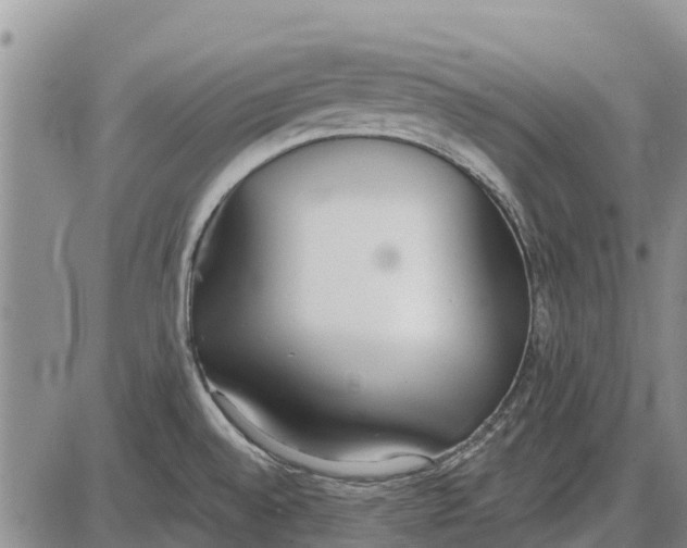 X0000085001528200703261115