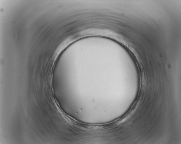 X0000085001529200703261115