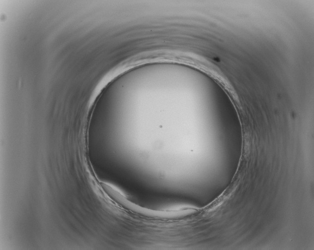 X0000085001530200703261115