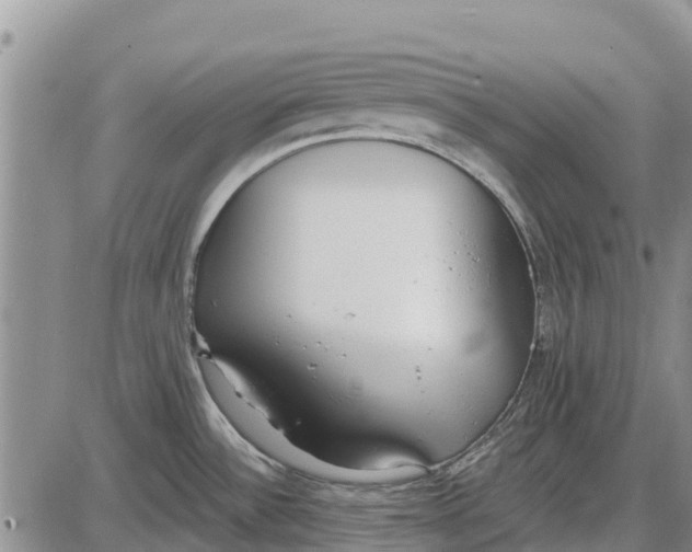 X0000085001532200703261115