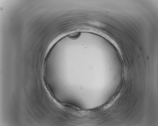 X0000085001533200703261115