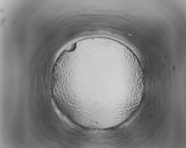 X0000085001534200703261115