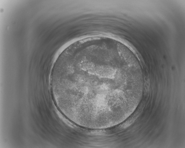 X0000085001535200703261115