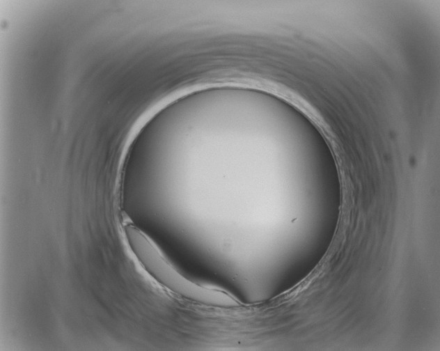 X0000085001536200703261115