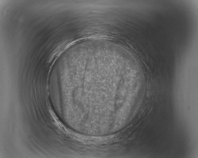 X0000085000002200704021346