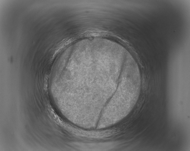 X0000085000010200704021346