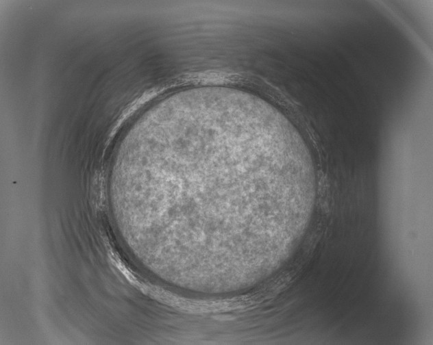 X0000085000012200704021346