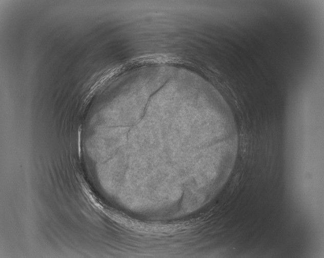 X0000085000014200704021346