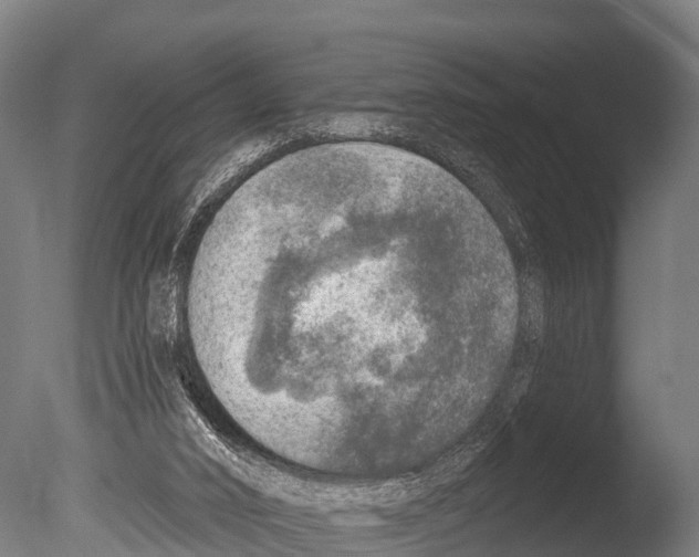 X0000085000016200704021346