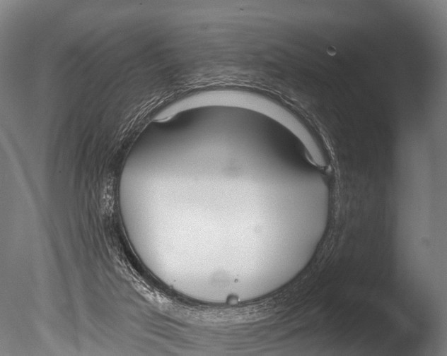 X0000085000017200704021346