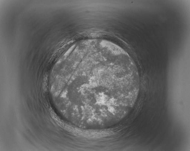 X0000085000018200704021346