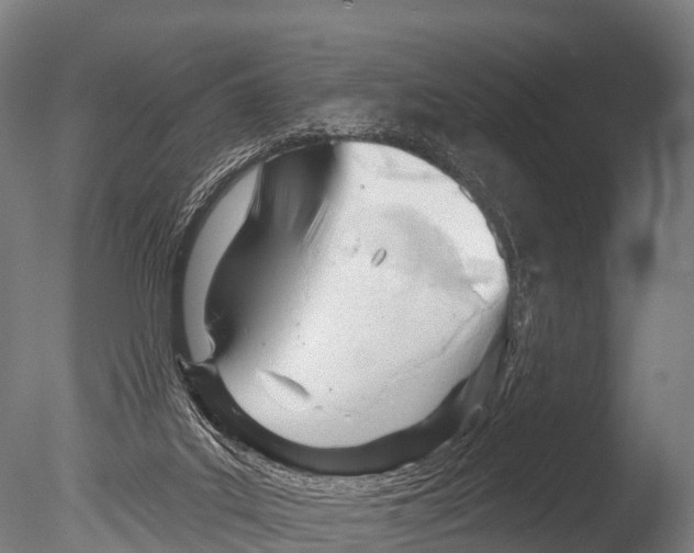 X0000085000019200704021346