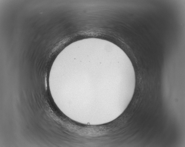 X0000085000020200704021346