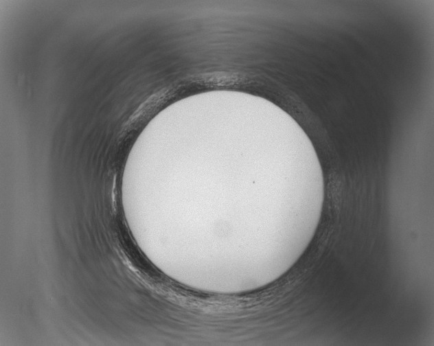 X0000085000024200704021346