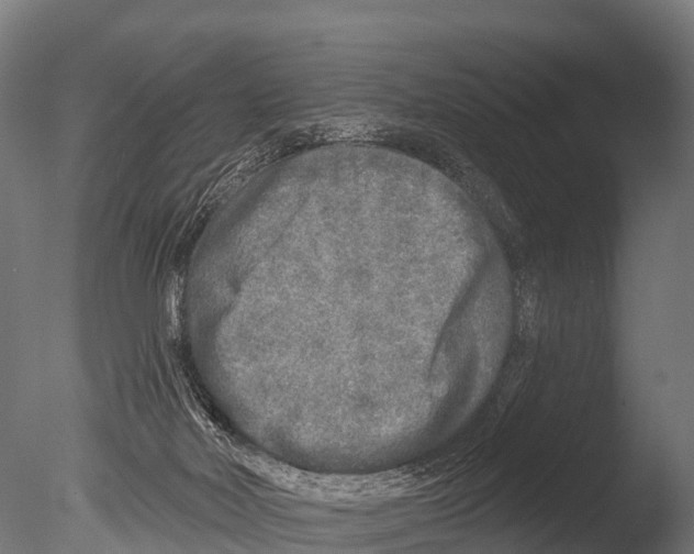 X0000085000026200704021345