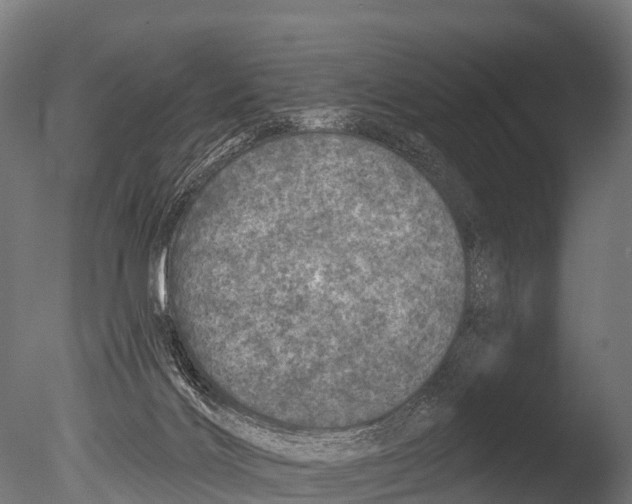 X0000085000028200704021345