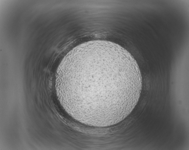 X0000085000032200704021345