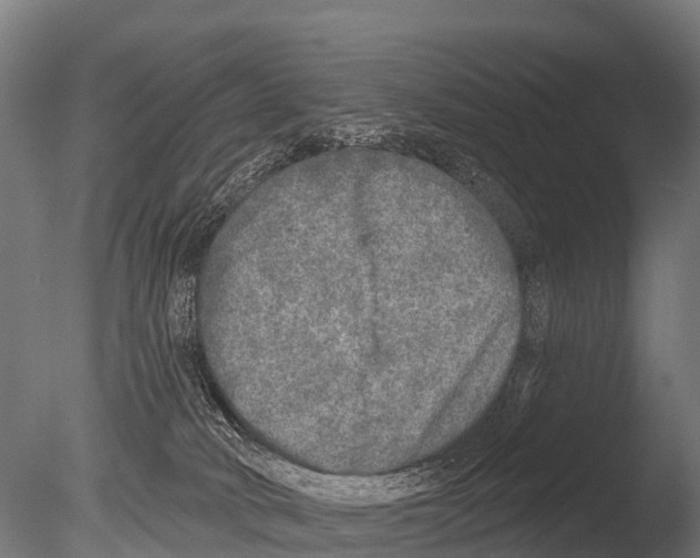 X0000085000034200704021345