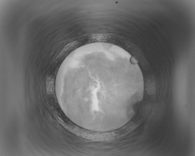 X0000085000036200704021345