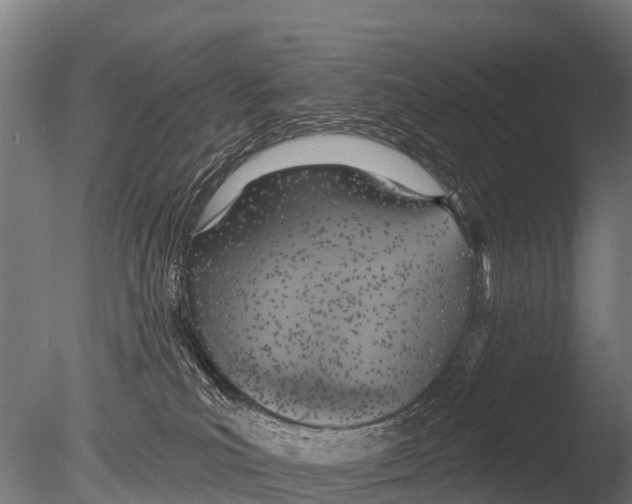 X0000085000039200704021345