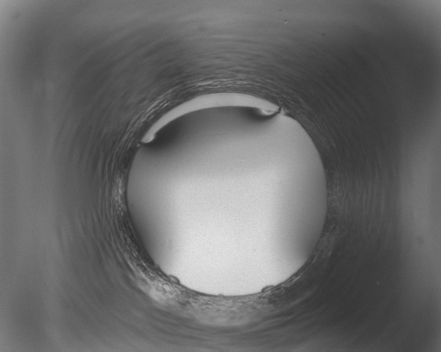 X0000085000045200704021345