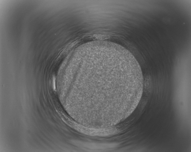 X0000085000046200704021345