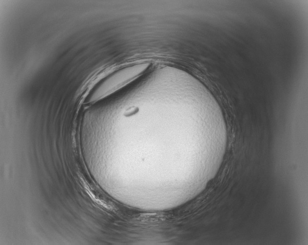 X0000085000050200704021344