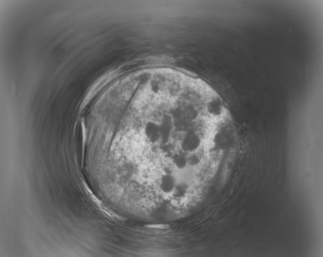 X0000085000053200704021344