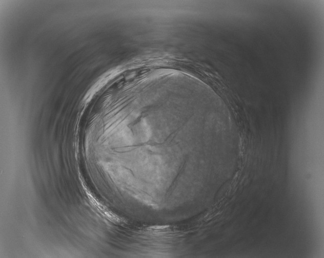 X0000085000054200704021344