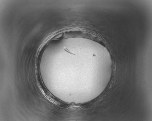 X0000085000055200704021344