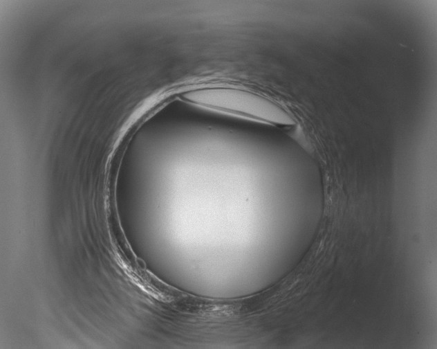 X0000085000056200704021344