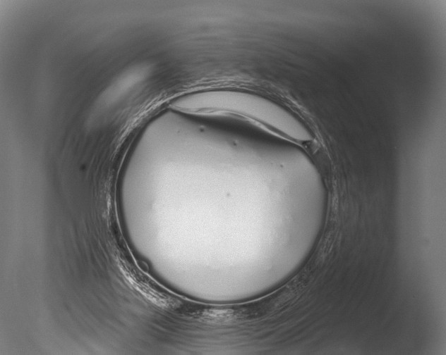 X0000085000059200704021344