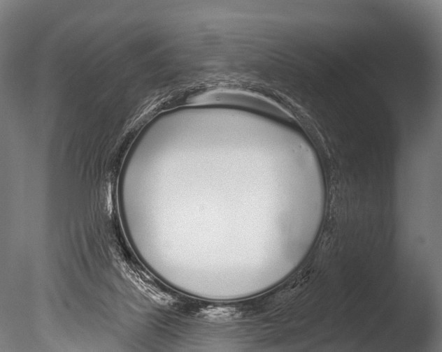 X0000085000067200704021345