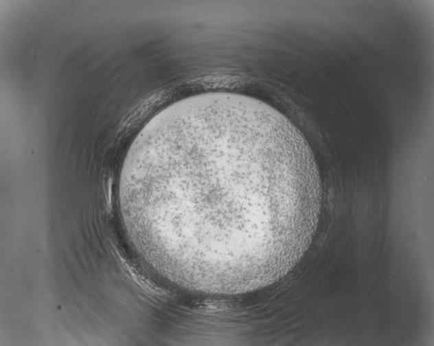 X0000085000070200704021345