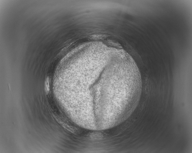 X0000085000075200704021345